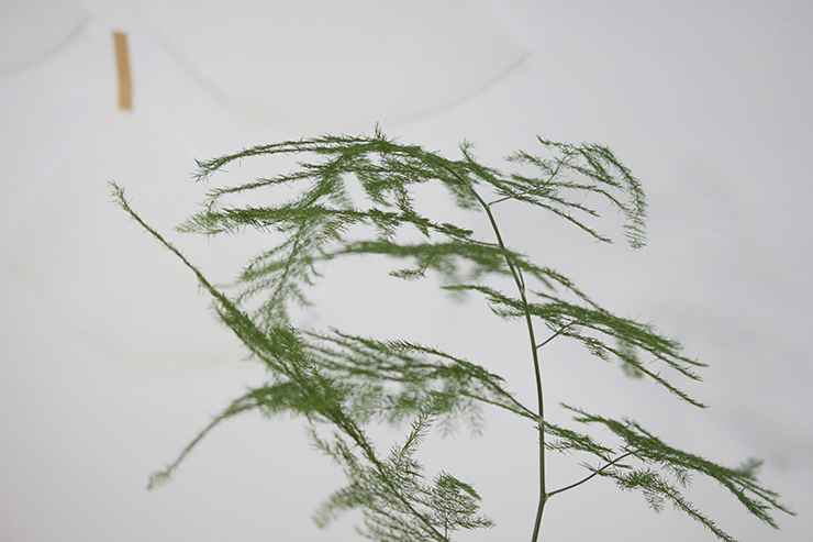 xmas tree 