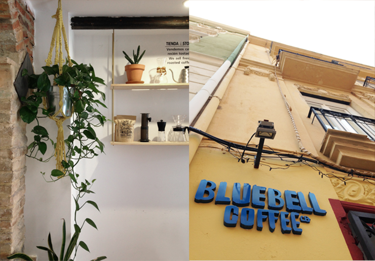 Blue Bell1