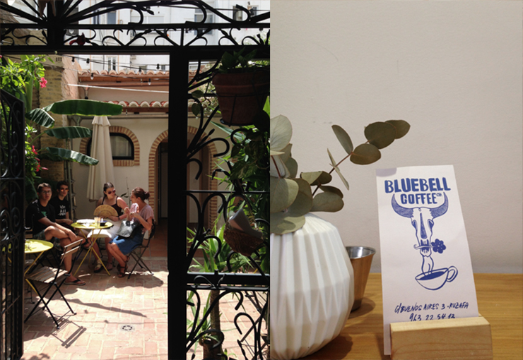 Blue Bell2